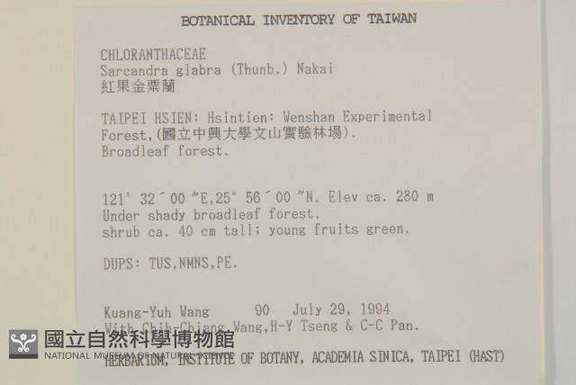 草珊瑚、紅果金粟蘭藏品圖，第2張