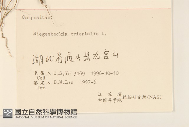 豨簽藏品圖，第3張