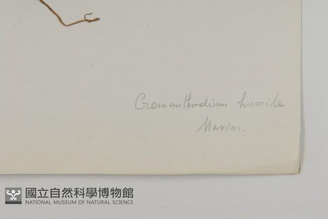 登錄號:S022147藏品圖，第3張