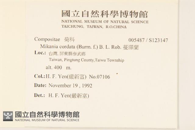 蔓澤蘭藏品圖，第2張