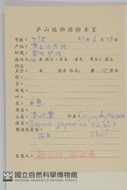 瓜槌草、漆姑草藏品圖，第2張