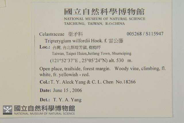 雷公藤藏品圖，第2張