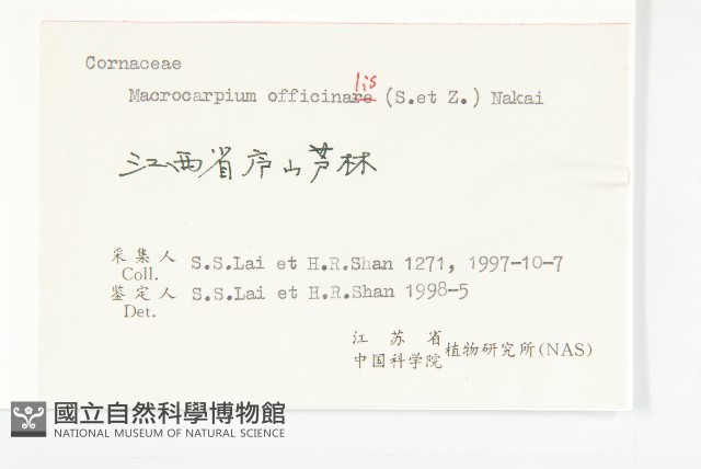 山茱萸藏品圖，第3張
