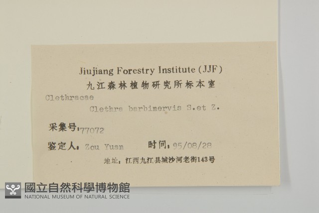 華東山柳藏品圖，第3張