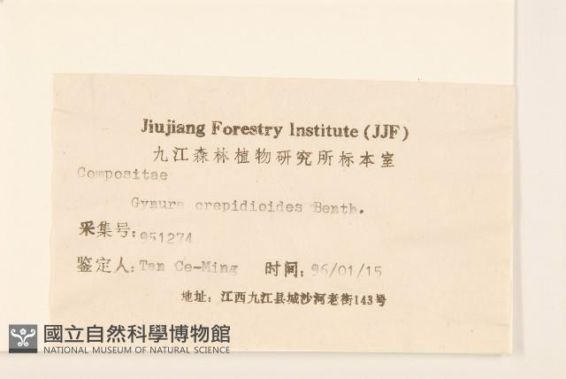 野茼蒿藏品圖，第3張