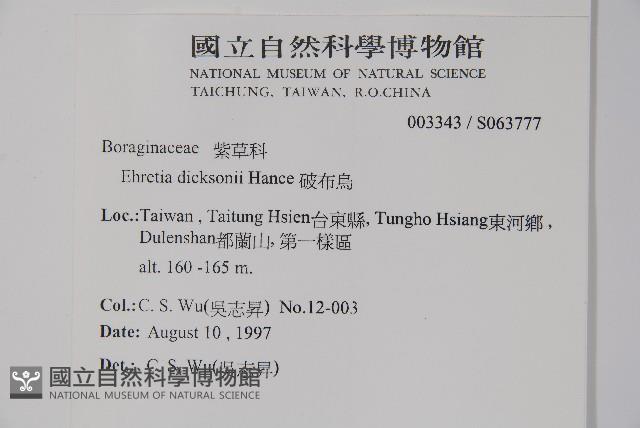 破布烏藏品圖，第2張