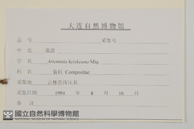 庵蒿藏品圖，第3張