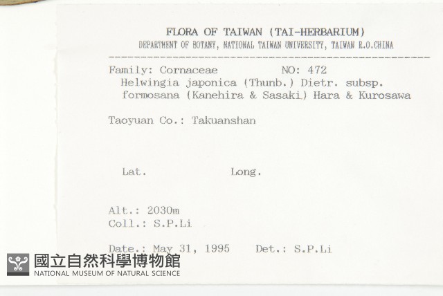 臺灣青莢葉藏品圖，第2張