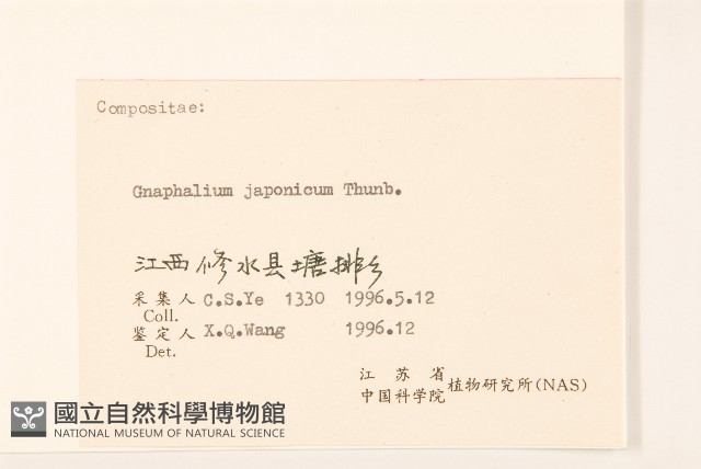 野大豆、烏豆藏品圖，第3張