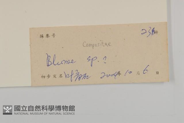 登錄號:S102477藏品圖，第3張