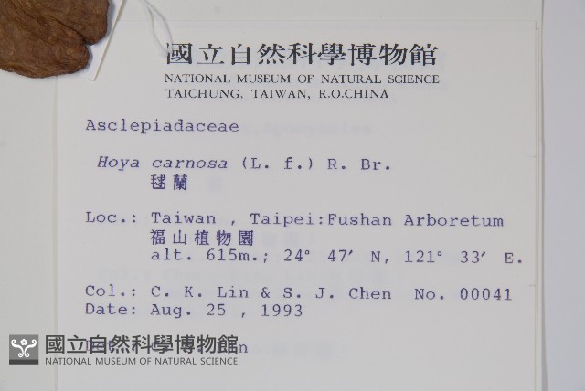 毬蘭藏品圖，第2張