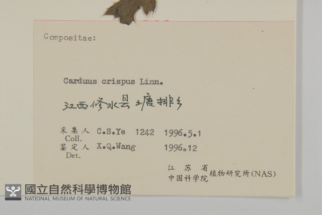 飛廉藏品圖，第3張