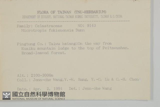 福建賽衛矛、福建假衛矛藏品圖，第2張