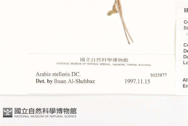 登錄號:S025877藏品圖，第6張