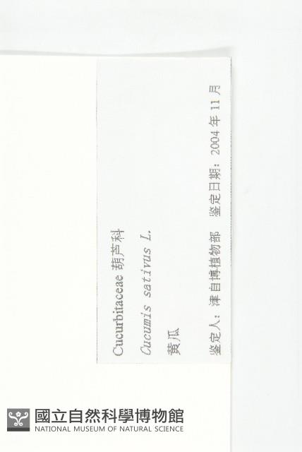 胡瓜、刺瓜藏品圖，第3張