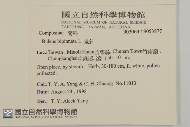 鬼針藏品圖，第5張