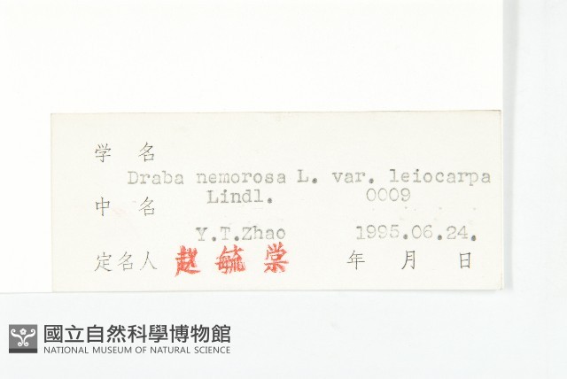 葶藶藏品圖，第3張