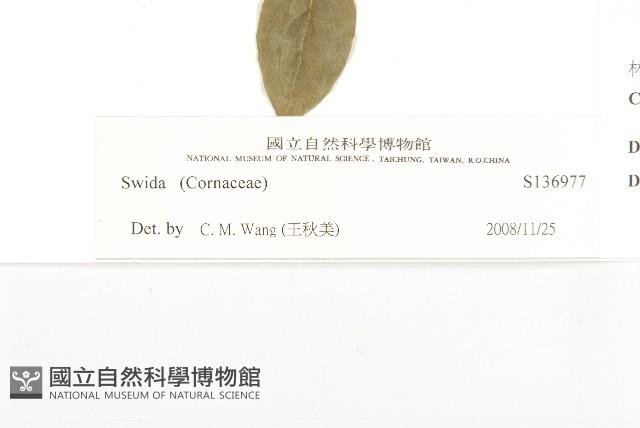 登錄號:S136977藏品圖，第3張