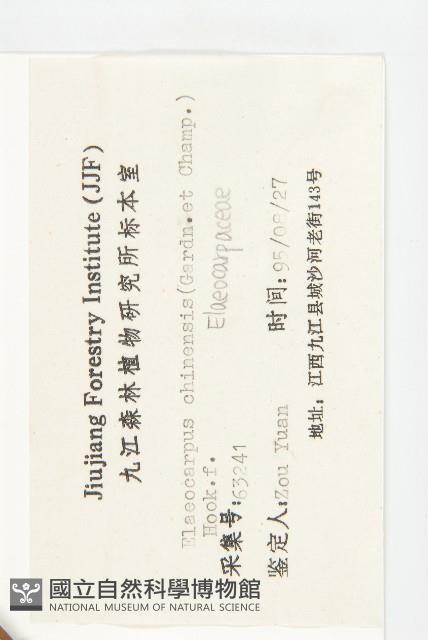 華杜英藏品圖，第3張