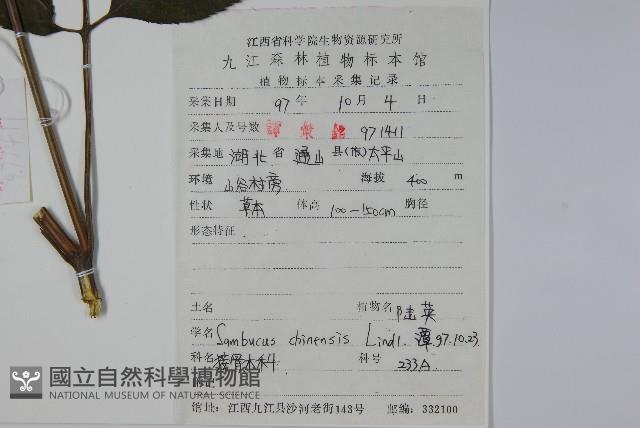 冇骨消藏品圖，第2張