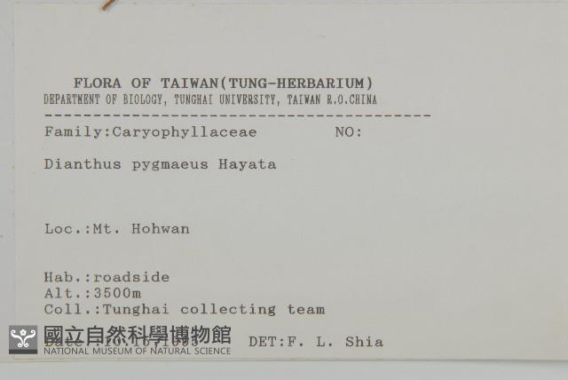 玉山石竹藏品圖，第2張