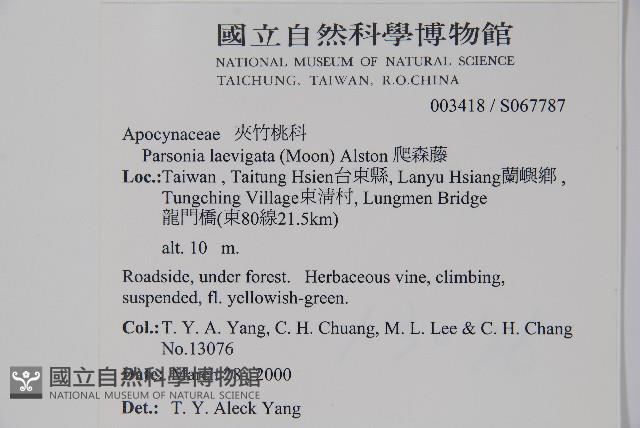 爬森藤藏品圖，第2張