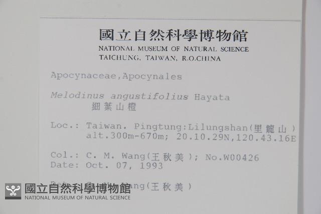 山橙藏品圖，第2張