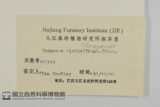 衛矛藏品圖，第3張