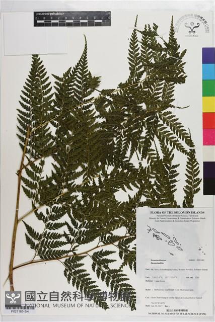 登錄號:P021185藏品圖，第3張