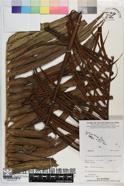 登錄號:P021243藏品圖，第3張