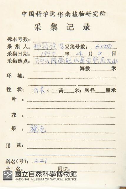 保亭柿藏品圖，第5張