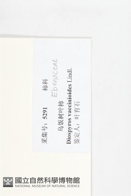 楓港柿藏品圖，第6張