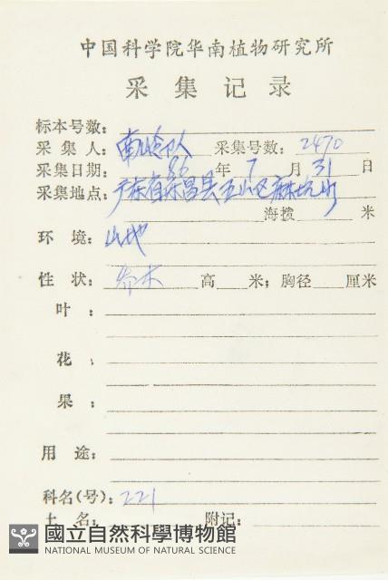 山紅柿藏品圖，第5張