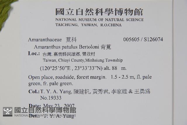 青莧藏品圖，第6張