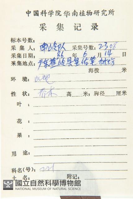 山紅柿藏品圖，第5張