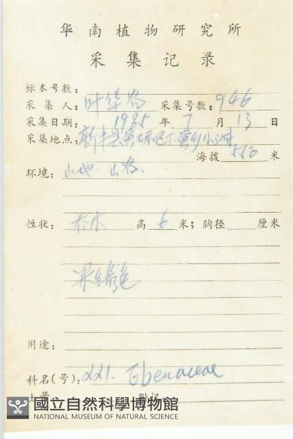 山紅柿藏品圖，第5張