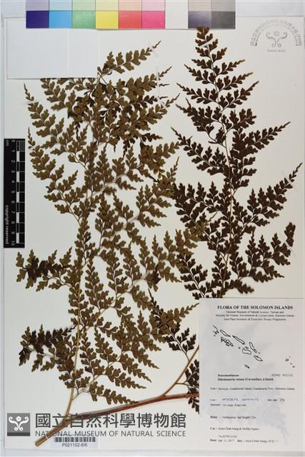 登錄號:P021102藏品圖，第6張