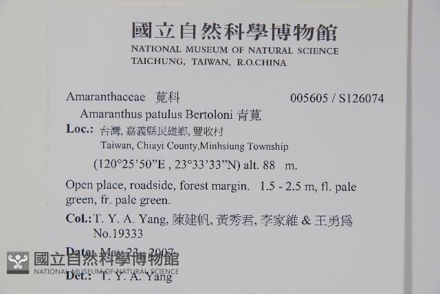 青莧藏品圖，第14張