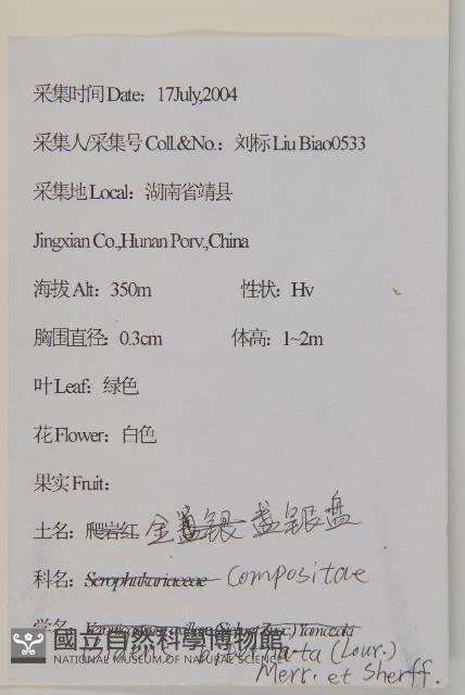 睫毛萼鳳仙花藏品圖，第4張