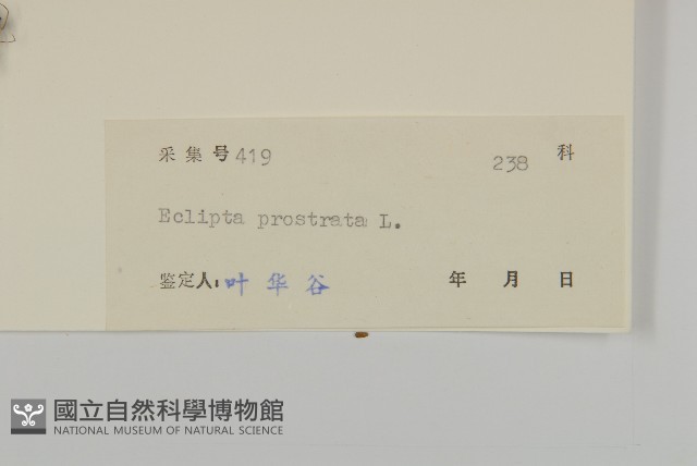 鱧腸藏品圖，第3張