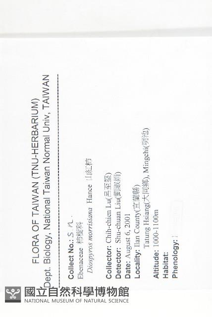 山紅柿藏品圖，第4張