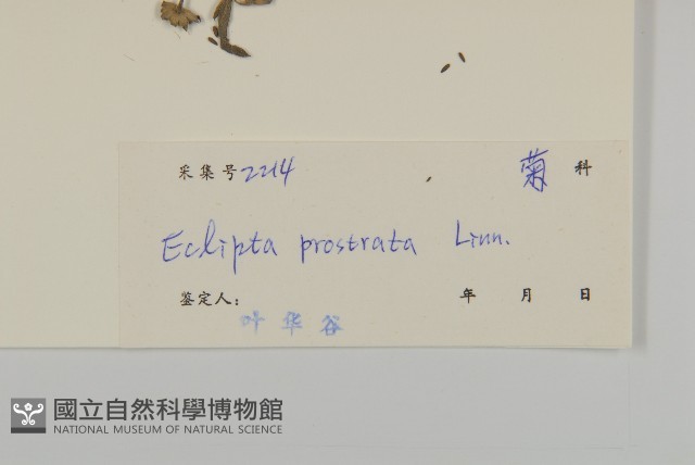 鱧腸藏品圖，第3張