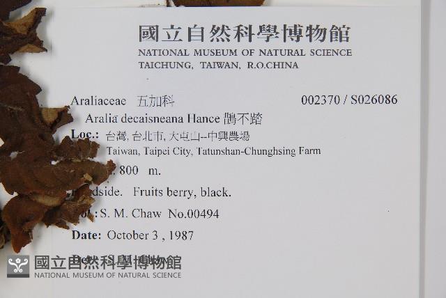 鵲不踏藏品圖，第4張