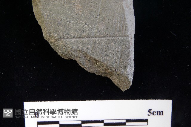 磨製斧鋤形器藏品圖，第4張
