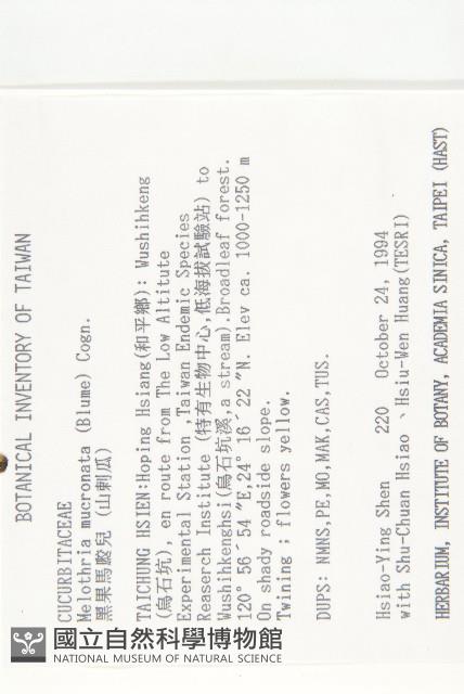 黑果馬交兒藏品圖，第4張