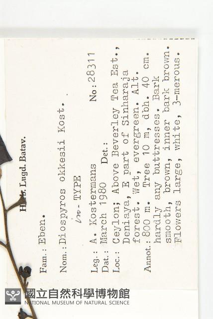 登錄號:S047030藏品圖，第4張