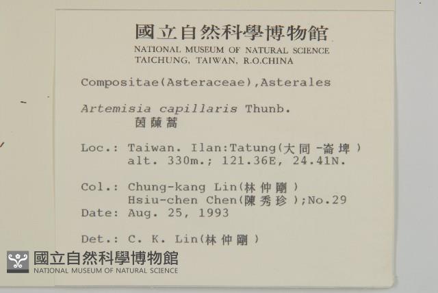 羊角藤、武靴藤藏品圖，第4張