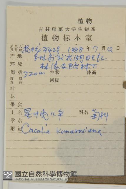 星葉兔兒傘藏品圖，第4張