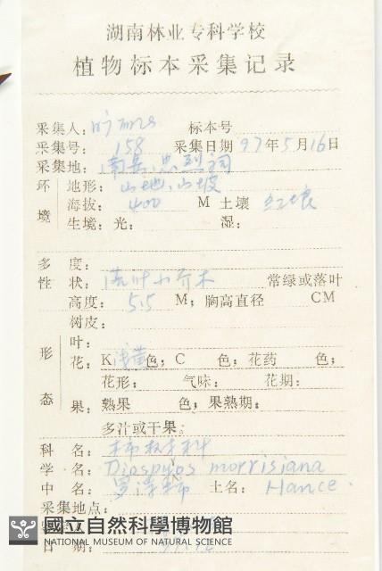 山紅柿藏品圖，第4張