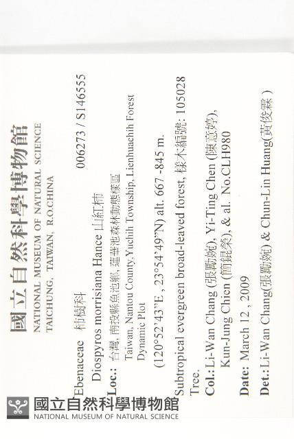 山紅柿藏品圖，第4張